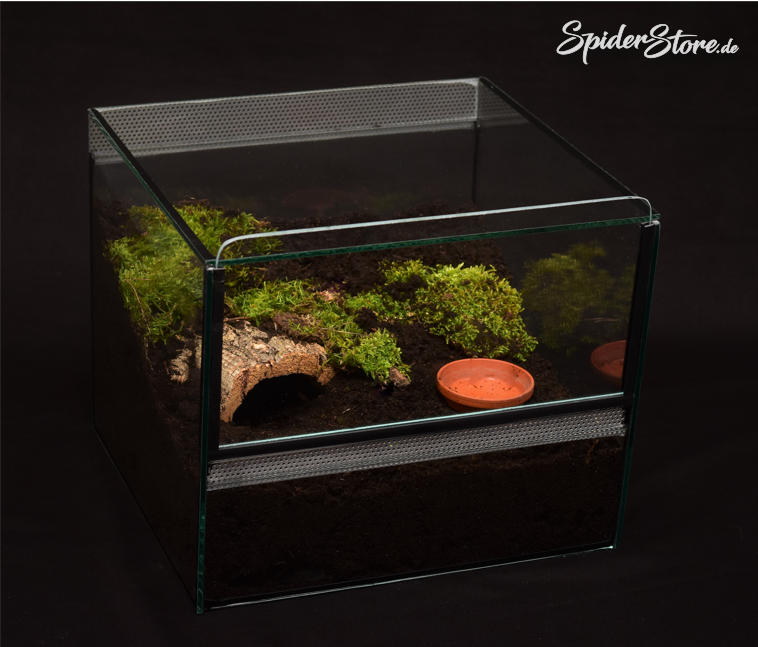 Wie Viel Kostet Ein Terrarium Für Schildkröten Das_Terrarium